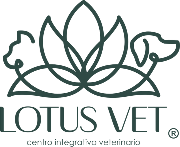 Lotus Vet, centro integrativo veterinario